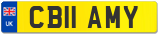 CB11 AMY