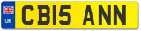 CB15 ANN