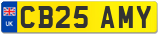 CB25 AMY