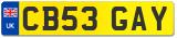 CB53 GAY