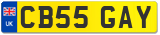 CB55 GAY