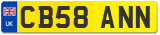 CB58 ANN