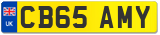 CB65 AMY