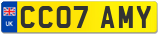 CC07 AMY