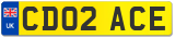 CD02 ACE