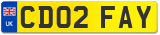 CD02 FAY