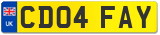 CD04 FAY