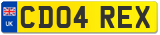 CD04 REX