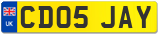 CD05 JAY