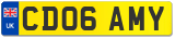 CD06 AMY