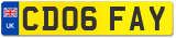 CD06 FAY