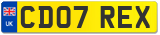 CD07 REX