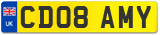 CD08 AMY