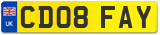 CD08 FAY