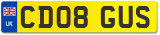 CD08 GUS