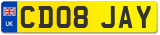 CD08 JAY