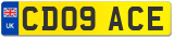 CD09 ACE