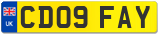 CD09 FAY