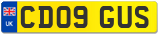 CD09 GUS