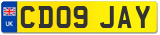 CD09 JAY