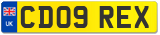 CD09 REX