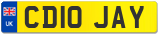 CD10 JAY