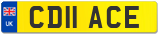 CD11 ACE