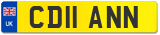 CD11 ANN