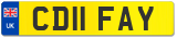 CD11 FAY