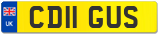 CD11 GUS