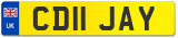 CD11 JAY