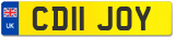 CD11 JOY