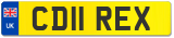 CD11 REX