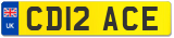 CD12 ACE