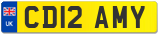 CD12 AMY