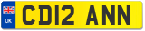 CD12 ANN