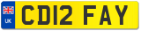 CD12 FAY