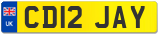 CD12 JAY