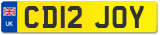 CD12 JOY