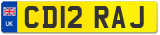 CD12 RAJ