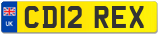 CD12 REX