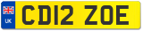 CD12 ZOE