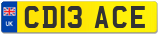 CD13 ACE