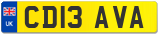 CD13 AVA