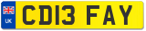 CD13 FAY