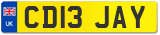 CD13 JAY