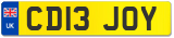 CD13 JOY