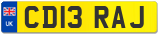 CD13 RAJ