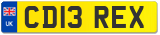 CD13 REX