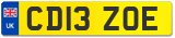 CD13 ZOE